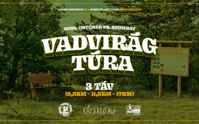 Diósdi Vadvirág Túra – Teljesítménytúra Diósdon október 24-én!